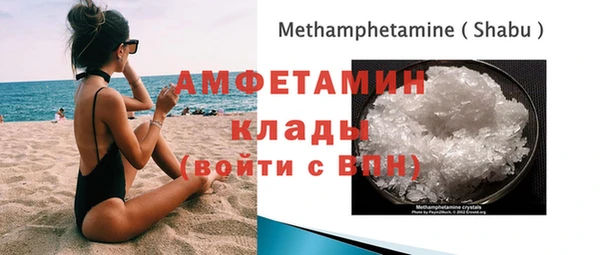 мет Алексин