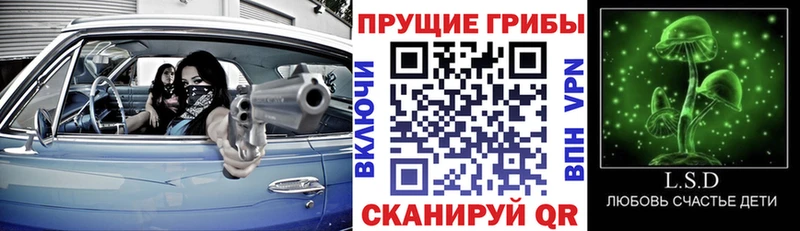 MEGA онион  Одинцово  Галлюциногенные грибы прущие грибы 