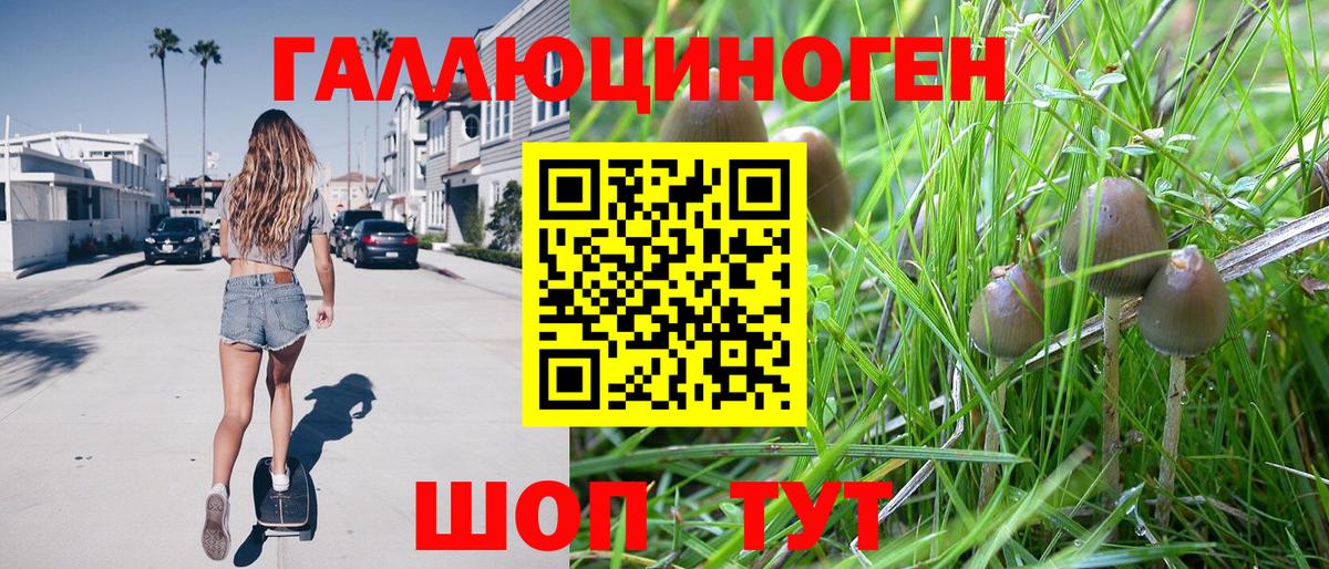 цена   Галлюциногенные грибы прущие грибы  Вход с VPN  Одинцово 